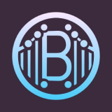 Bridgoro Review: How the No-KYC P2P Escrow Exchange Actually Works