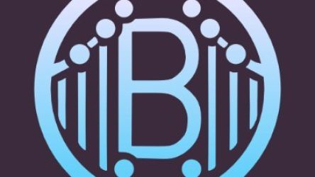 Bridgoro Review: How the No-KYC P2P Escrow Exchange Actually Works